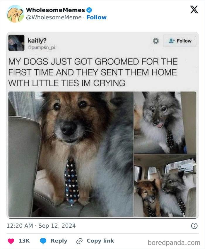 30 Uplifting Memes To Restore Your Faith In The World