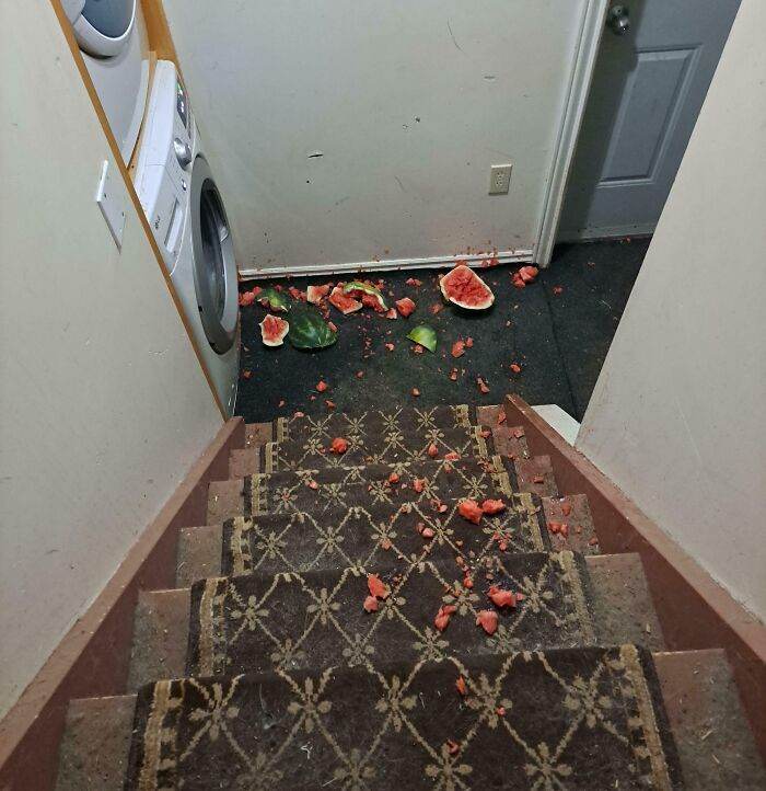 30 Pictures That Prove Someone's Having A Worse Day Than You
