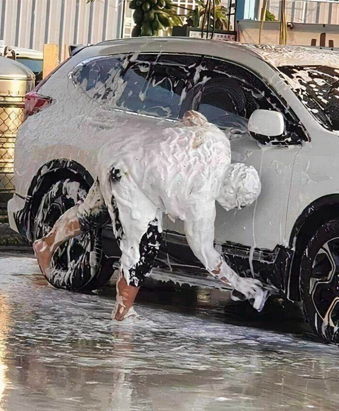 6706405A7Ce24 Funny Random No Context Pics 85