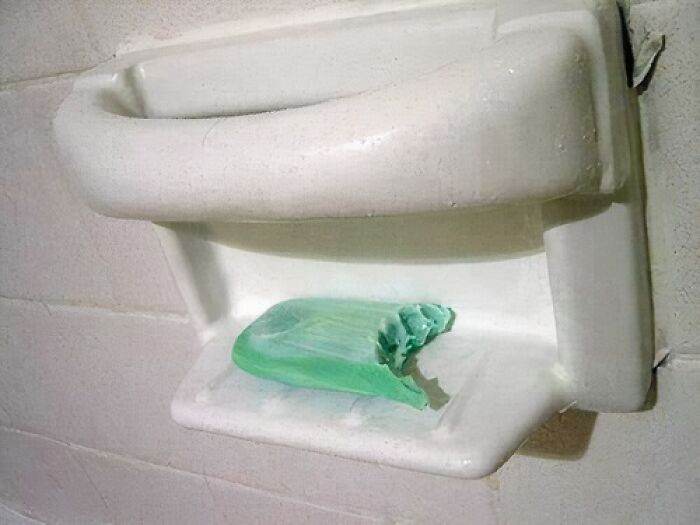 6706419A89B7E Funny Random No Context Pics 15