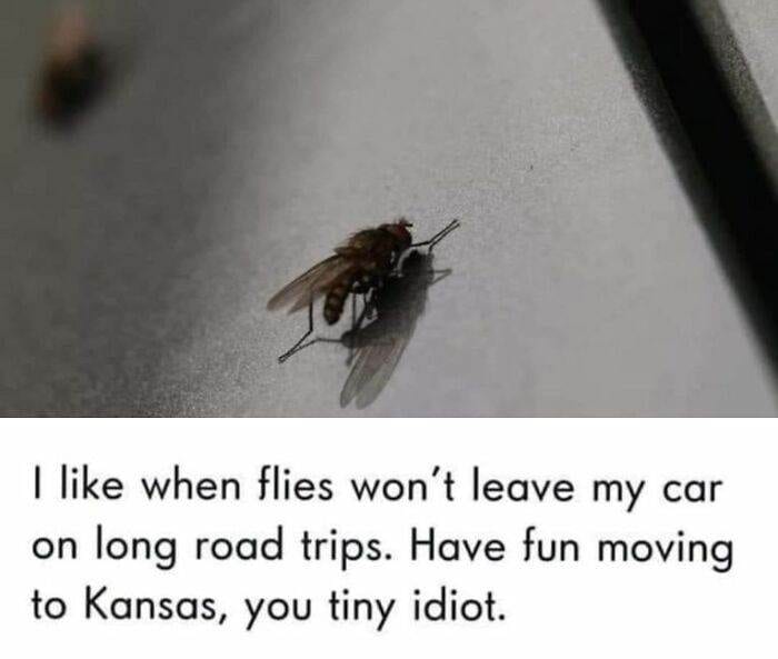 670685243A910 Funny Random Memes Morememesdammit
