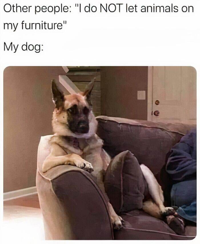 30 Hilarious Random Images To Lift Your Spirits