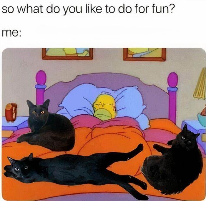 30 Hilarious Random Images To Lift Your Spirits