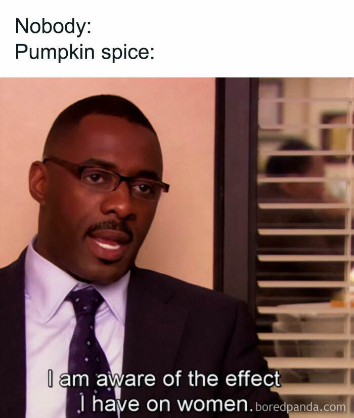 Fall Meme 10 6708D705A7434 700