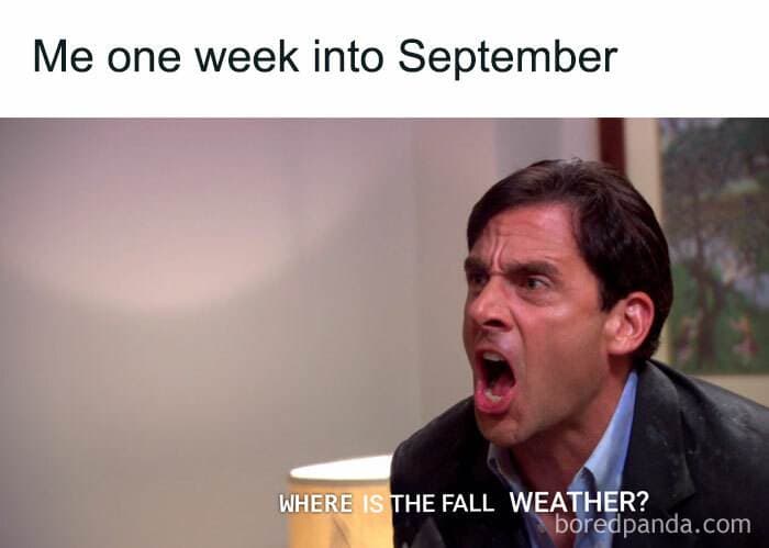 Fall Meme 12 6708D70A8Dff6 700