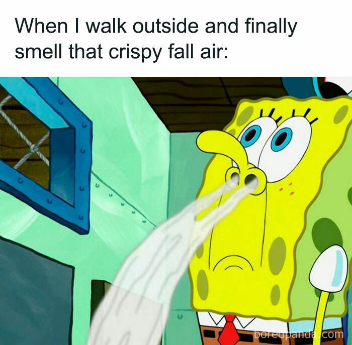 Fall Meme 16 6708D71298A75 700
