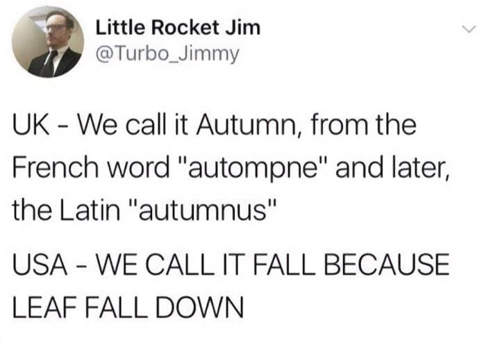 Fall Meme 2 6708D6F517D53 700