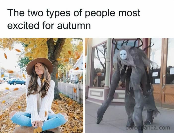 Fall Meme 23 6708D72919086 700
