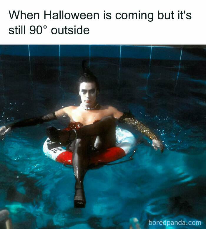 Fall Meme 6 6708D6Fd87462 700