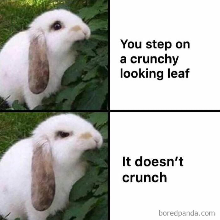 Fall Meme 8 6708D701A4Da2 700
