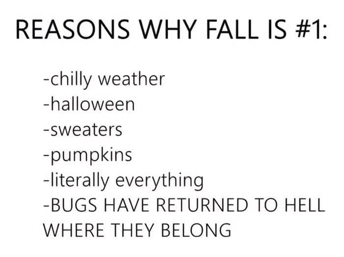 Fall Meme 9 6708D70391489 700