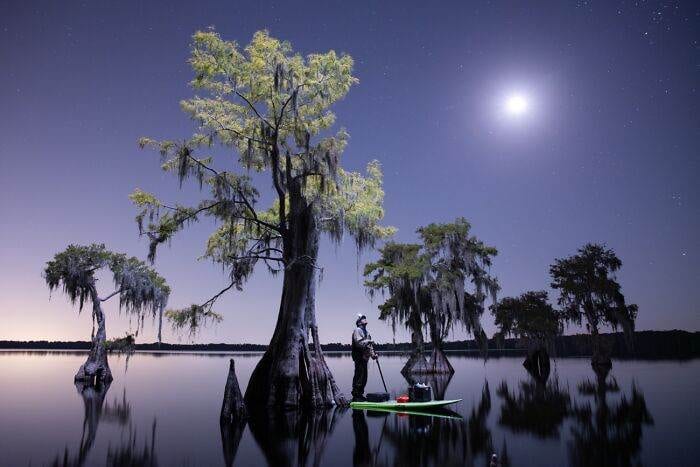 Spectacular Winning Images From The 2024 Siena International Photo Awards 6708B57Af076B 700 1