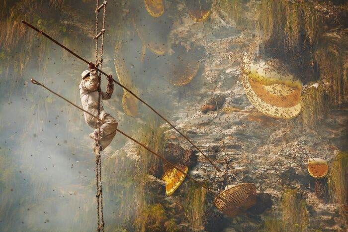 Spectacular Winning Images From The 2024 Siena International Photo Awards 6708B58024F7F 700 1