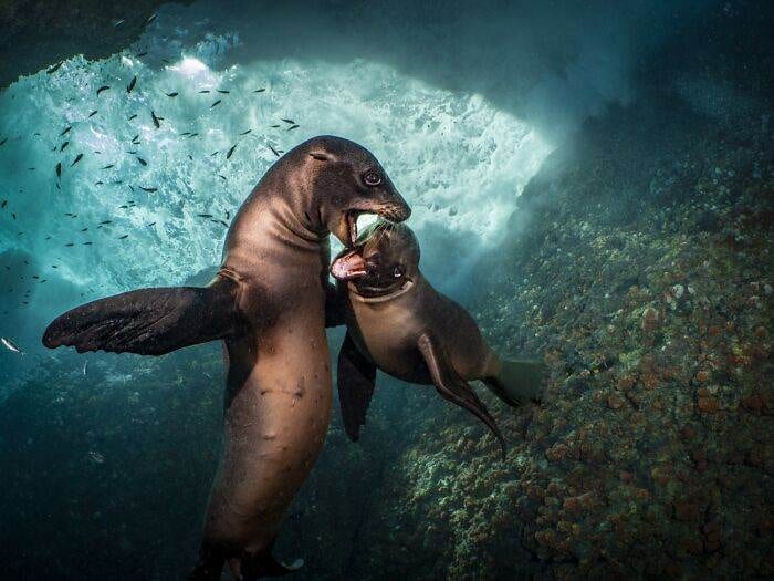 30 Outstanding Photographs Of 2024 