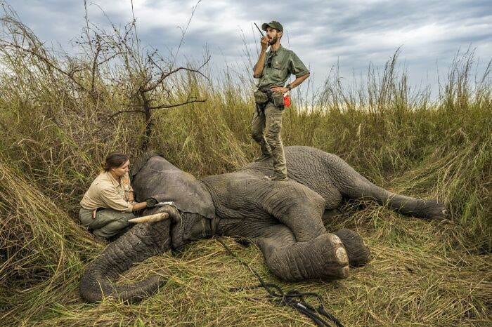 Spectacular Winning Images From The 2024 Siena International Photo Awards 6708B5C68F7D8 700 1