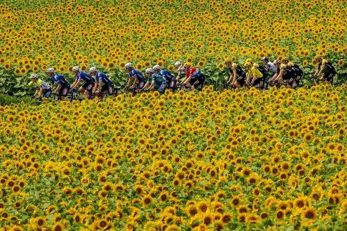 Spectacular Winning Images From The 2024 Siena International Photo Awards 6708B5E763569 700 1