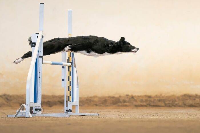 Spectacular Winning Images From The 2024 Siena International Photo Awards 6708B5E9B8586 700 1