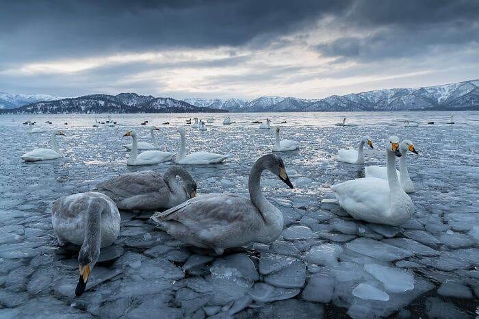 Spectacular Winning Images From The 2024 Siena International Photo Awards 6708B5Fb0D31F 700 1