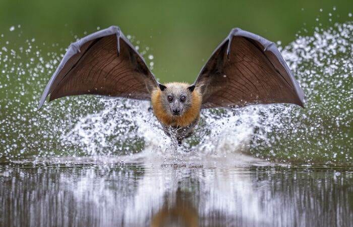 Spectacular Winning Images From The 2024 Siena International Photo Awards 6708B60C633Ac 700 1