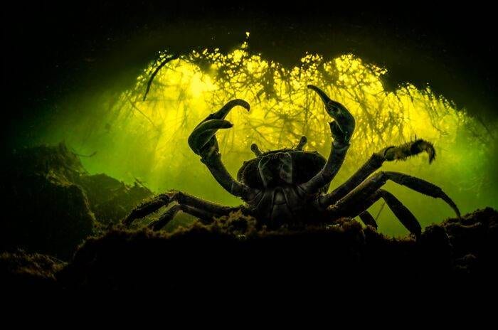 30 Breathtaking Professional Nature Photos You Won’t Believe Are Real