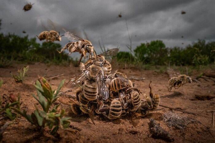 Spectacular Winning Images From The 2024 Siena International Photo Awards 6708B619195Ef 700 1