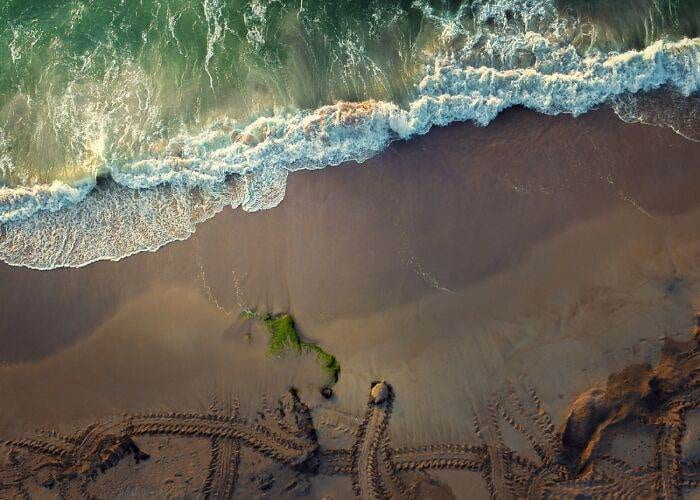 30 Outstanding Photographs Of 2024 