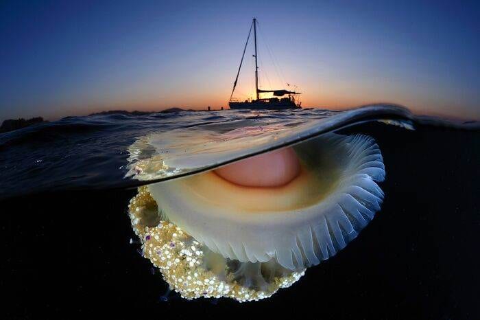 Spectacular Winning Images From The 2024 Siena International Photo Awards 6708B628A853E 700 1