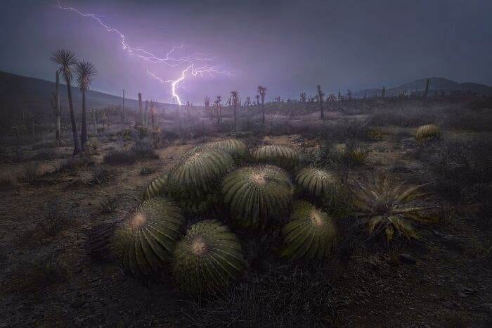 30 Outstanding Photographs Of 2024 