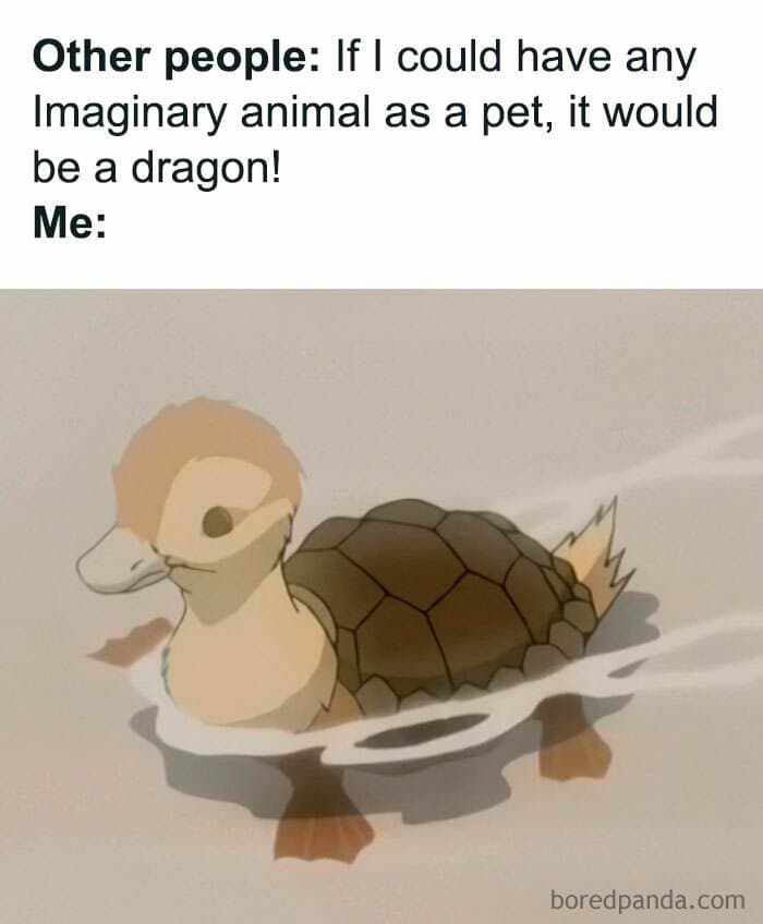 30 Hilarious Turtle Memes You Never Knew You Needed