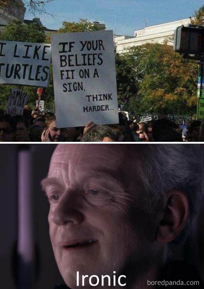 Turtle Meme 7 67067Be63F198 700