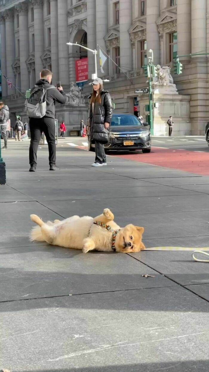 35 Times Influencers Were Called Out For Doing Ridiculous Things For A Photo