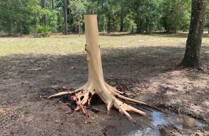 30 Unbelievably Satisfying PowerWashing Results People Had To Share