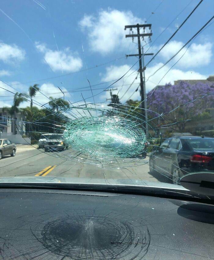 672B33C573C68 Vacation Fail Pics