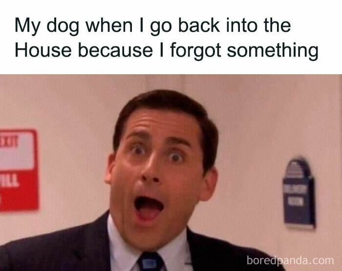 Funny The Office Memes 17 671272A1C15B5 700