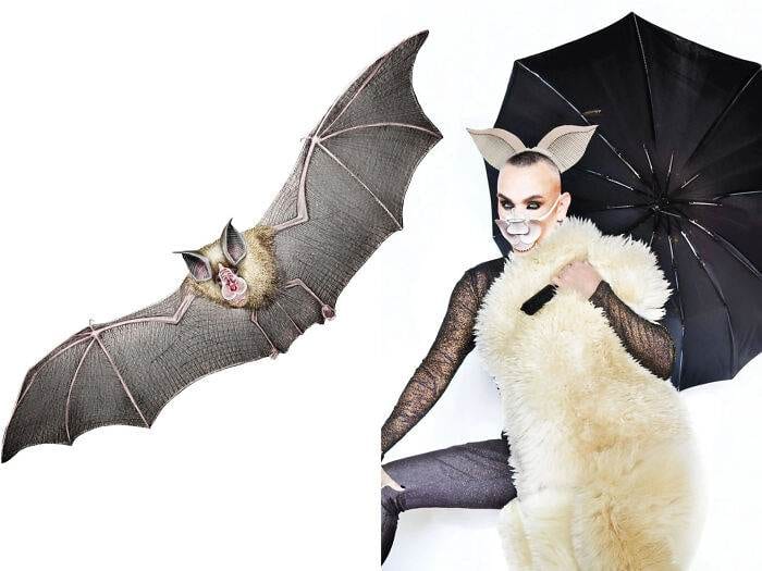 31 Everyday Objects Transformed Into Beautiful NatureInspired Costumes