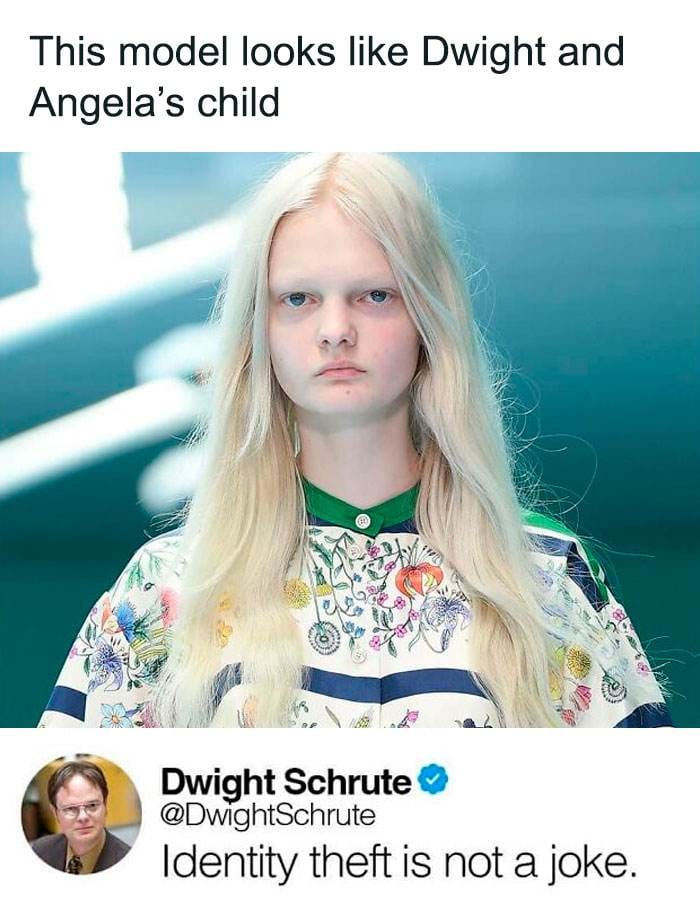 Office Memes 501 6717B4B21E4D6 700