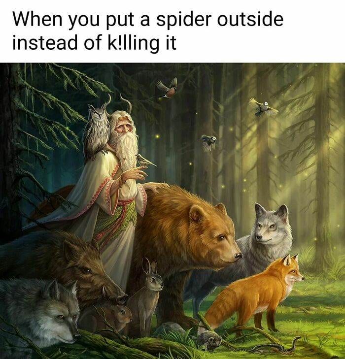 6655D7C741Aed 350420318 1780939408990562 1765581436487599107 N 700