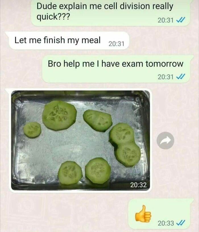 67596420A815A Funny Intellectual Science Memes 2