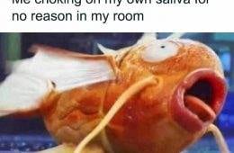 Hilarious Funny Random Memes Life Pics5 66E81C3F0608C 700