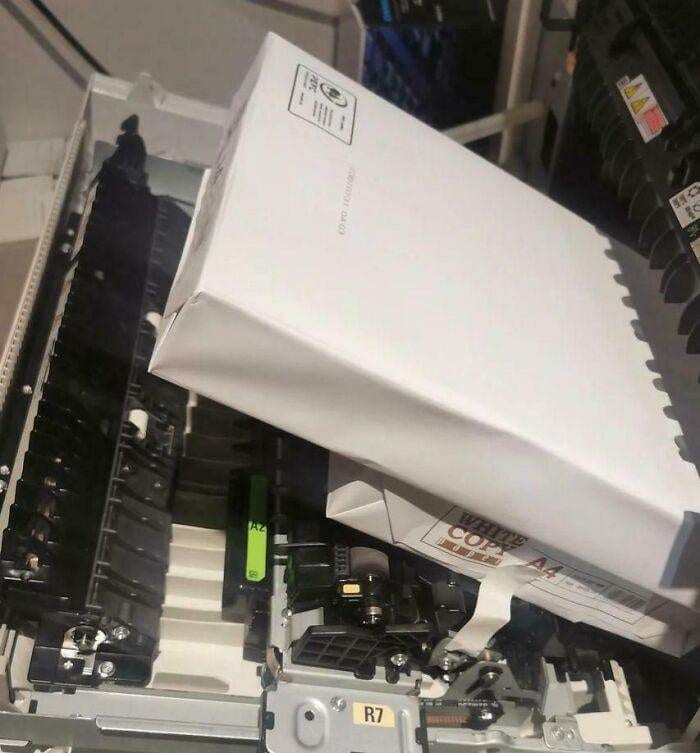 678500Bd64E8E Funny I Did The Job Boss Pics