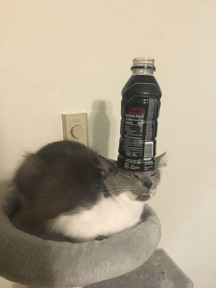 She Sat Like This For A Full Two Minutes Dumb Stupid Idiot V0 Z0Fzgeihxy4E1 676Ebd5D3Eb20 700