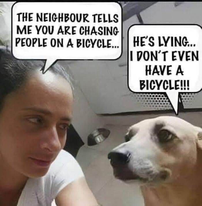 30 Ridiculously Funny Dad Jokes And Memes That Are Impossible To Ignore