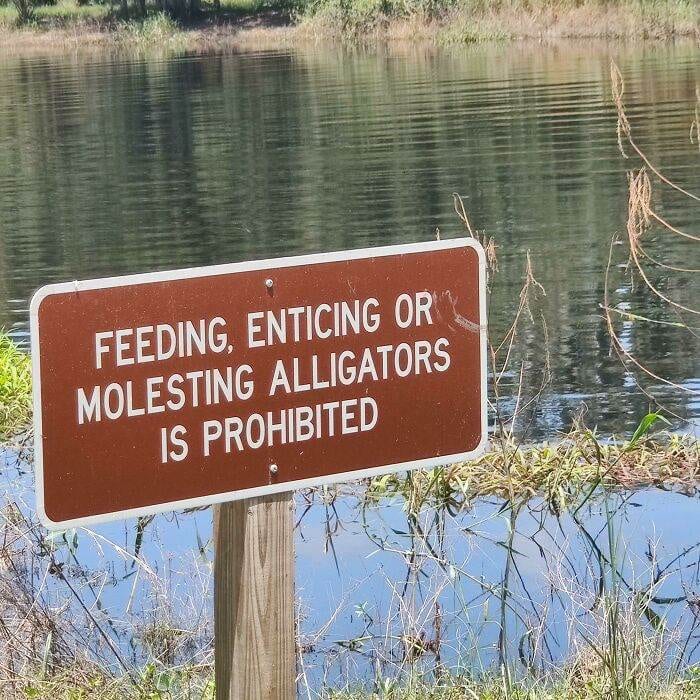 30 Hilarious Memes Straight From The Sunshine State
