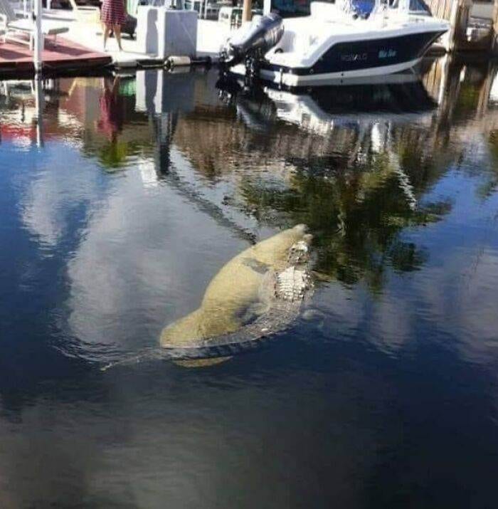 67Ab19Dc528B6 Florida Wild Moments
