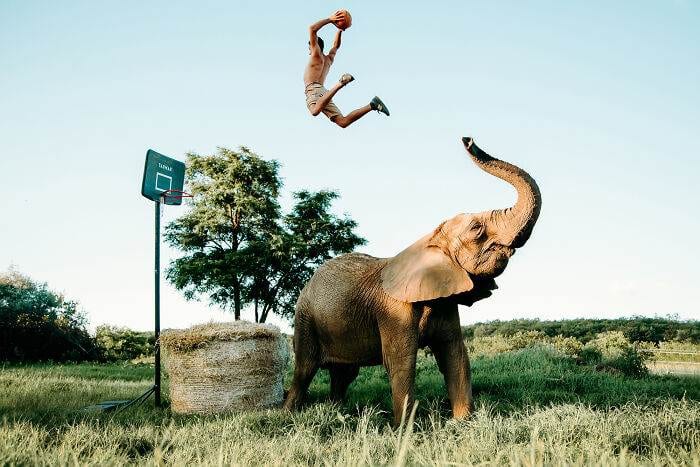 Masters Of The Lens Meet The Winners Of The 2024 International Photography Awards 67D160D342Dd0 700
