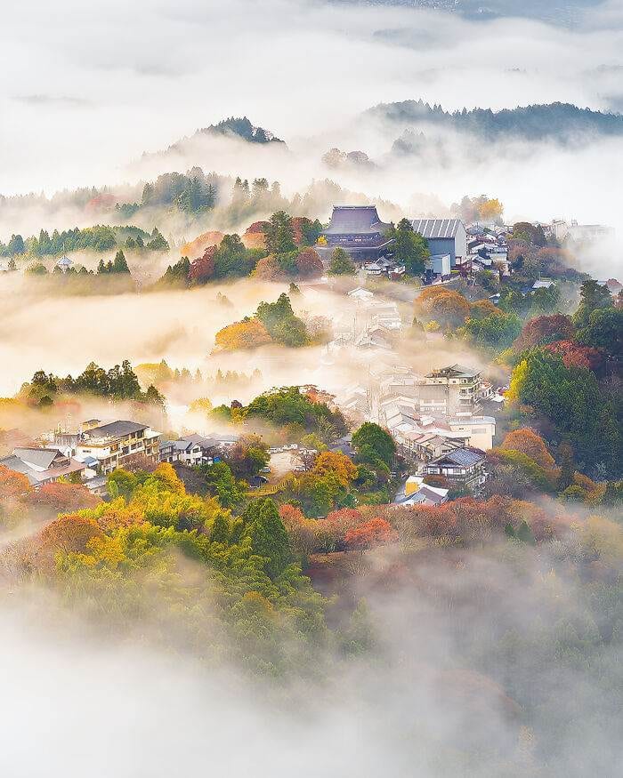 Masters Of The Lens Meet The Winners Of The 2024 International Photography Awards 67D166F984719 700
