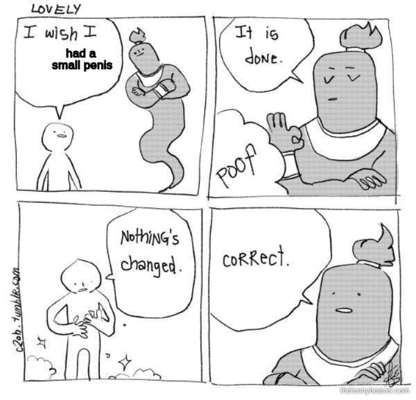 Had A Small Penis 173084 1