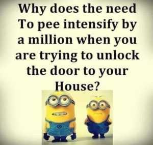 24 New Funny Minion Quotes To Love | The Funny Beaver