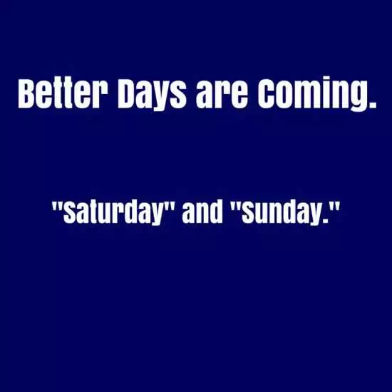 Funny Quotes