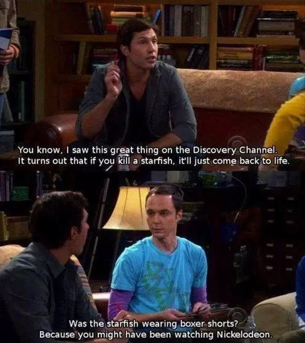 Funny Big Bang Theory 83K